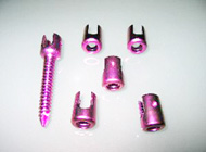 ��ɫ⁽���